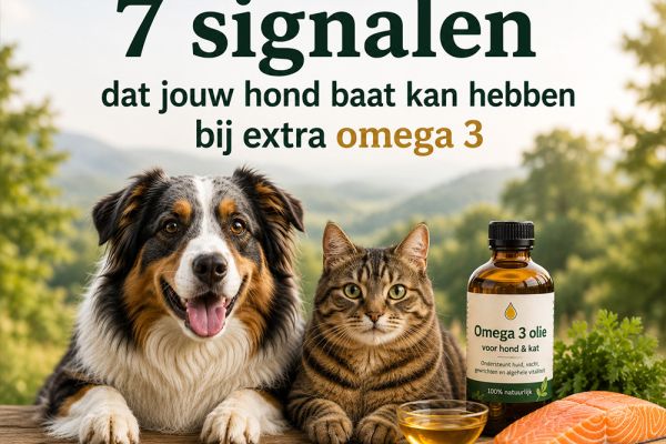 7 signalen dat jouw hond mogelijk baat kan hebben bij extra omega 3