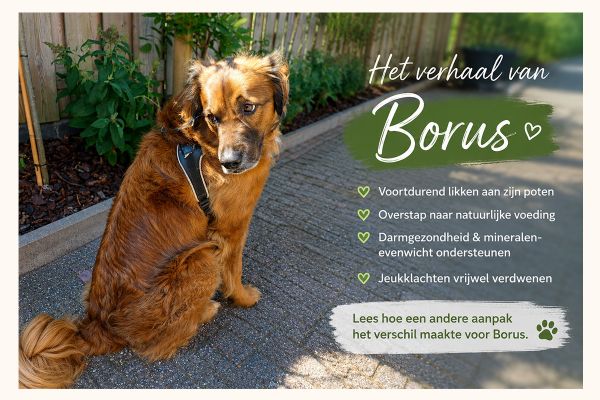 Praktijkverhaal, Borus had jeuk aan zijn poten
