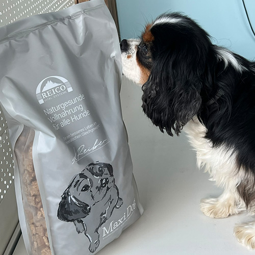 Wat is mineralenevenwicht en waarom is het zo belangrijk voor je hond?