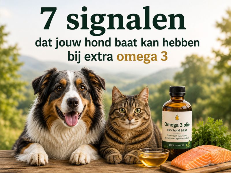 7 signalen dat jouw hond mogelijk baat kan hebben bij extra omega 3