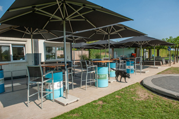 hondenzwemvijver (7)