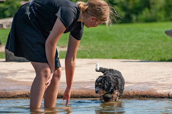 Hondenzwemvijver Ut Poeleke22-min