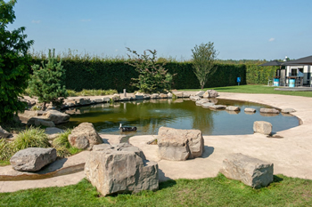 Hondenzwemvijver Ut Poeleke4-min