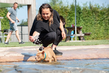 Hondenzwemvijver Ut Poeleke40-min