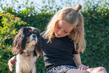 Hondenzwemvijver Ut Poeleke48-min
