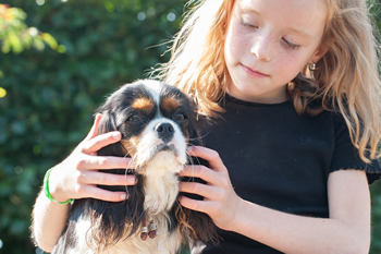 Hondenzwemvijver Ut Poeleke50-min