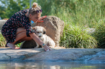 Hondenzwemvijver Ut Poeleke54-min