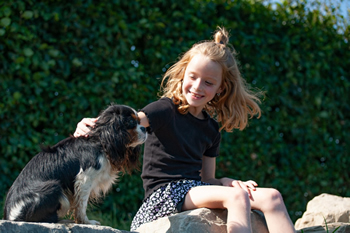 Hondenzwemvijver Ut Poeleke55-min