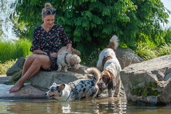 Hondenzwemvijver Ut Poeleke62-min