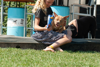 Hondenzwemvijver Ut Poeleke66-min