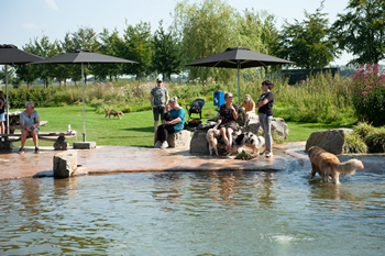 Hondenzwemvijver Ut Poeleke67-min