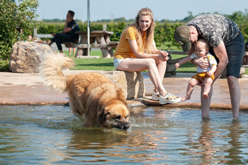 Hondenzwemvijver Ut Poeleke70-min