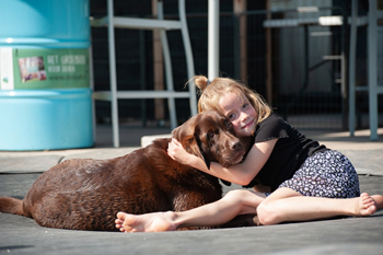 Hondenzwemvijver Ut Poeleke71-min