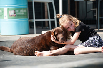 Hondenzwemvijver Ut Poeleke72-min