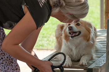 Hondenzwemvijver Ut Poeleke76-min