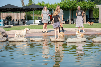 Hondenzwemvijver Ut Poeleke78-min