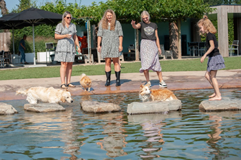 Hondenzwemvijver Ut Poeleke79-min