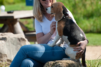 Hondenzwemvijver Ut Poeleke83-min