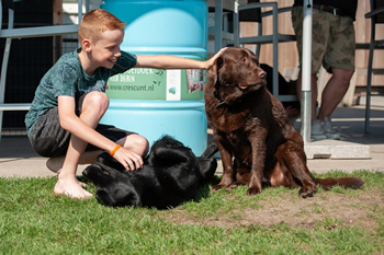 Hondenzwemvijver Ut Poeleke84-min