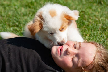 Hondenzwemvijver Ut Poeleke85-min