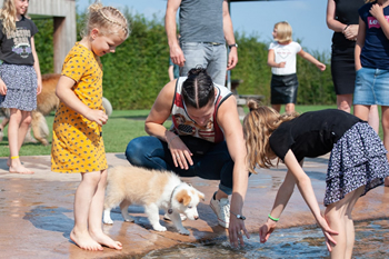 Hondenzwemvijver Ut Poeleke86-min