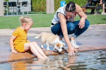Hondenzwemvijver Ut Poeleke87-min