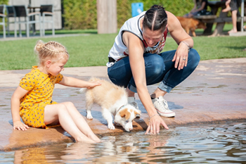 Hondenzwemvijver Ut Poeleke88-min