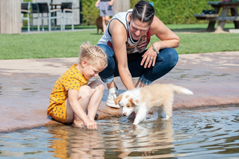 Hondenzwemvijver Ut Poeleke89-min