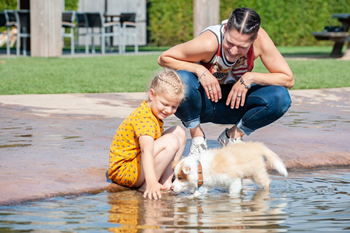 Hondenzwemvijver Ut Poeleke90-min