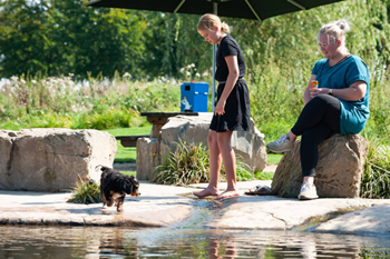 hond-vrij-zwemmen-spelen (4)
