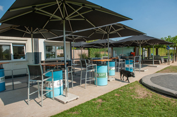 hondenzwemvijver (8)