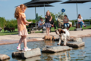 hond-vrij-zwemmen-spelen (18)