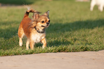 Klein en fijn festival10-min