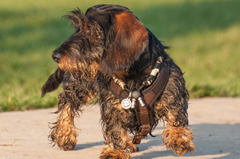 Klein en fijn festival11-min