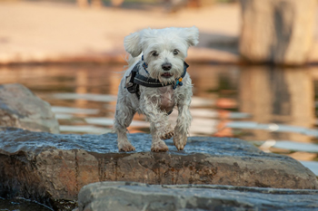 Klein en fijn festival12-min