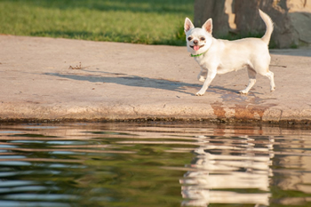 Klein en fijn festival14-min