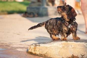Klein en fijn festival15-min