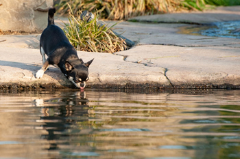 Klein en fijn festival16-min