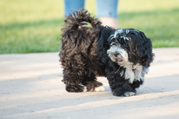 Klein en fijn festival17-min