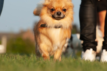 Klein en fijn festival22-min