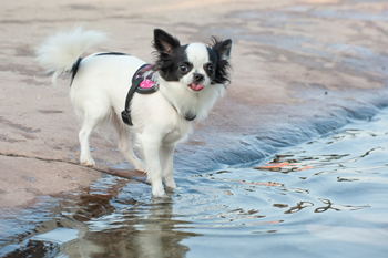 Klein en fijn festival3-min