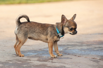 Klein en fijn festival7-min