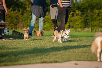 Klein en fijn festival9-min