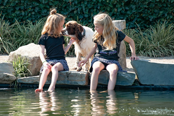 Hondenzwemvijver Ut Poeleke39-min