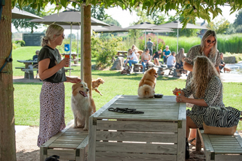 Hondenzwemvijver Ut Poeleke75-min