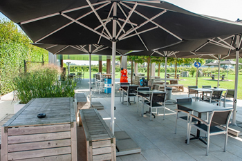 Hondenzwemvijver Ut Poeleke9-min