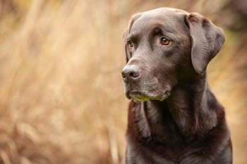 27b90717-dde3-41d7-aef6-e84de8d92d98