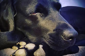 6B415F05-58C1-4AD3-B2D2-9B1D02AEECF2