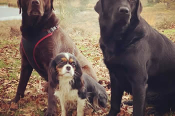 6C509329-EEE0-4067-B554-A0A26121588E