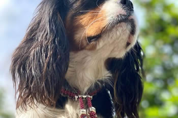 7983FC8D-F0BB-4F8F-9078-6ACA016FE42E